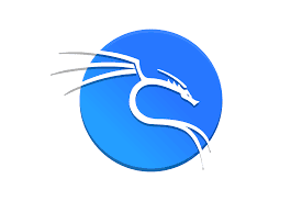 Servicios de Pentesting corporativo y Ethical Hacking usando Kali Linux - Mister IT